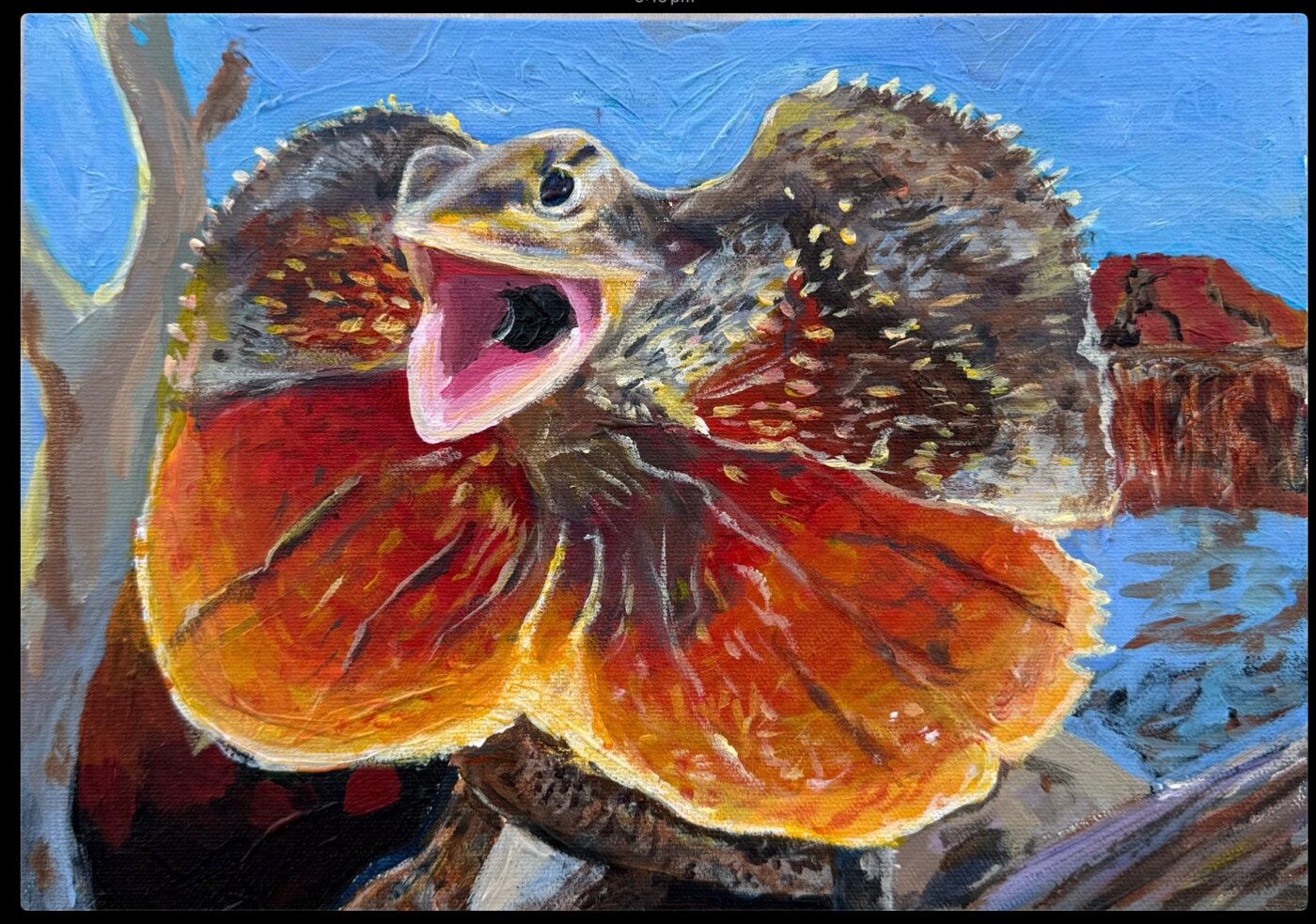 J-2026-John-Richards-Frill-necked-Lizard