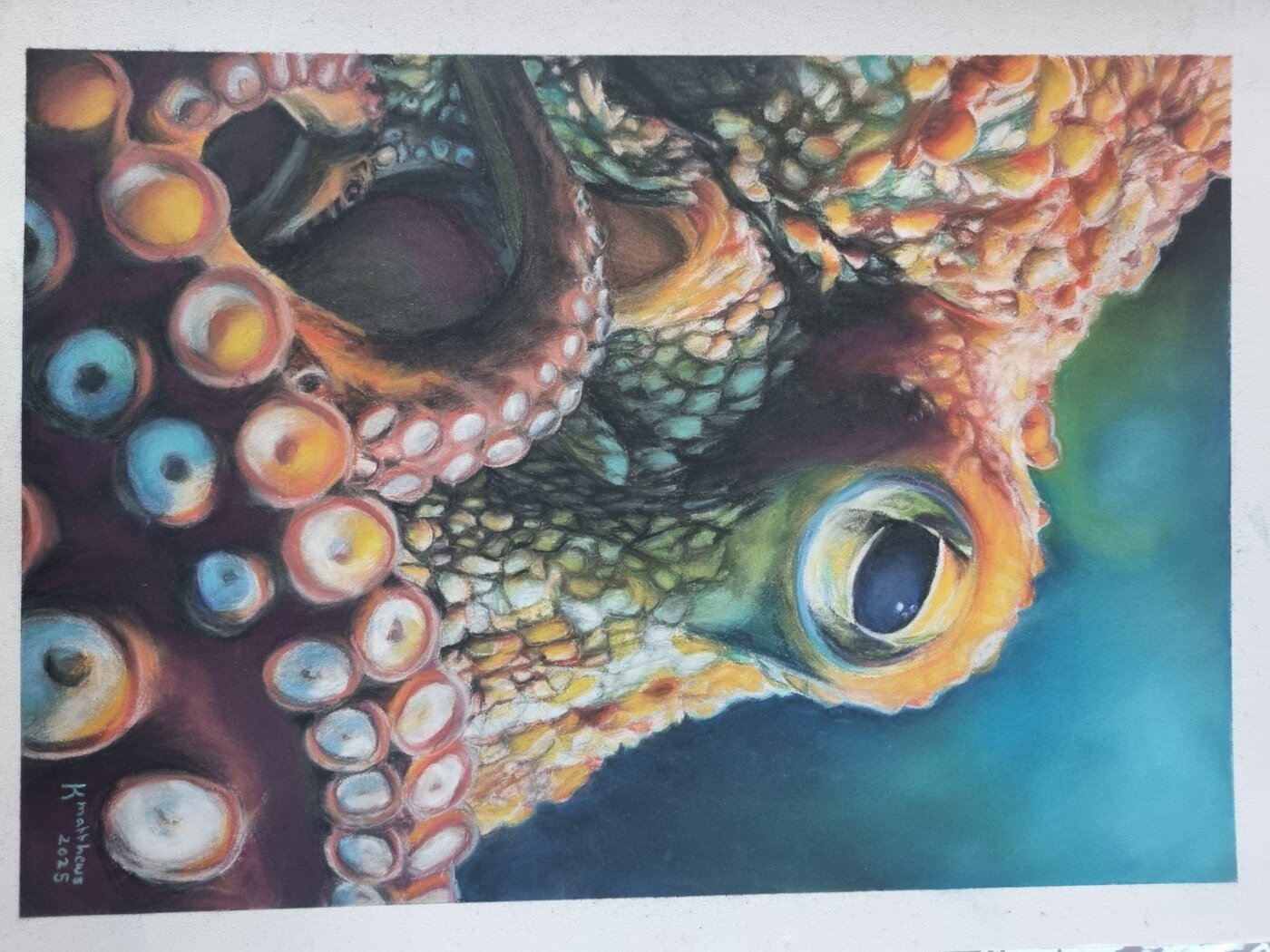 J-2026-Kaylin-Matthews-Octopus