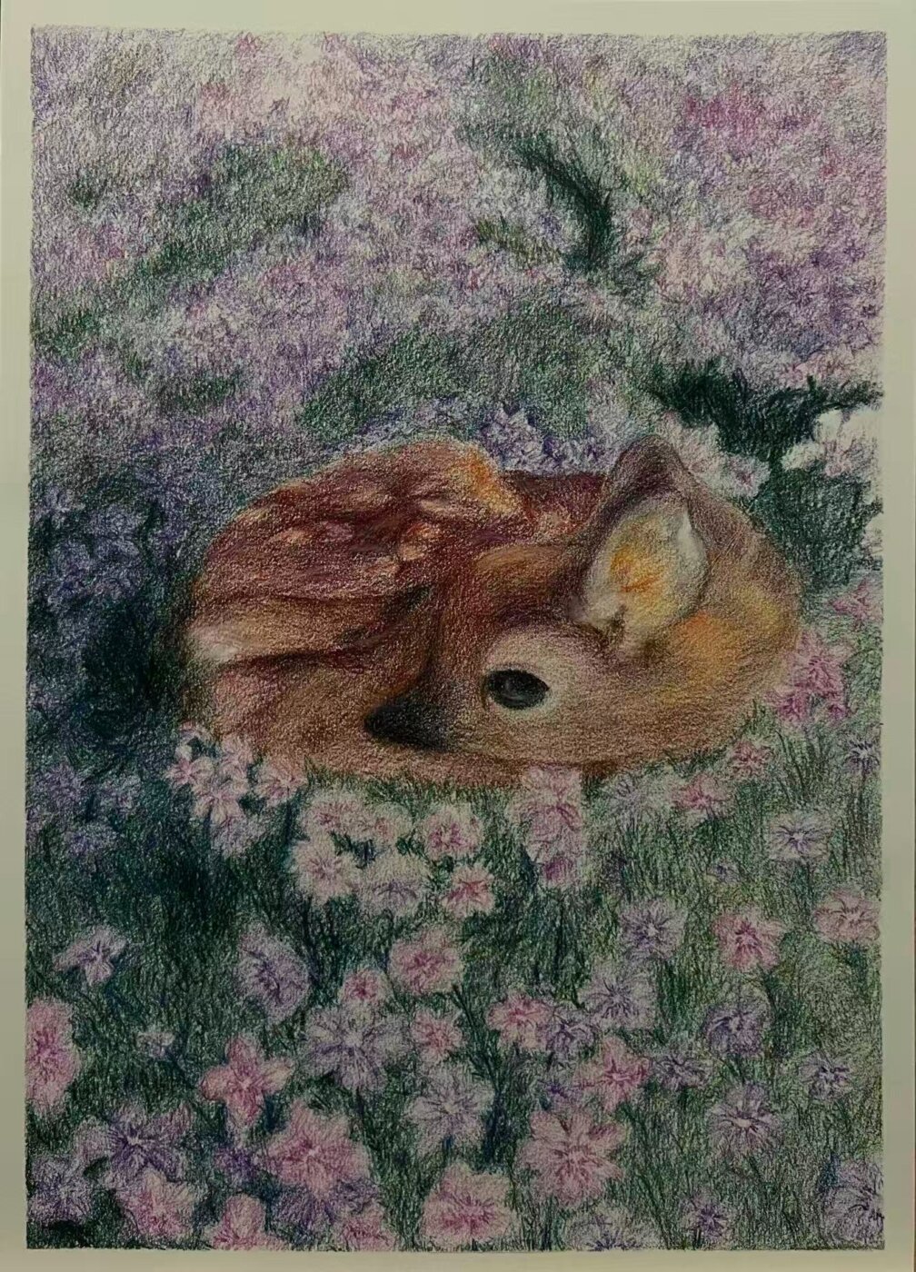 J-2026-Melody-Wang-Fawn-in-flower-field