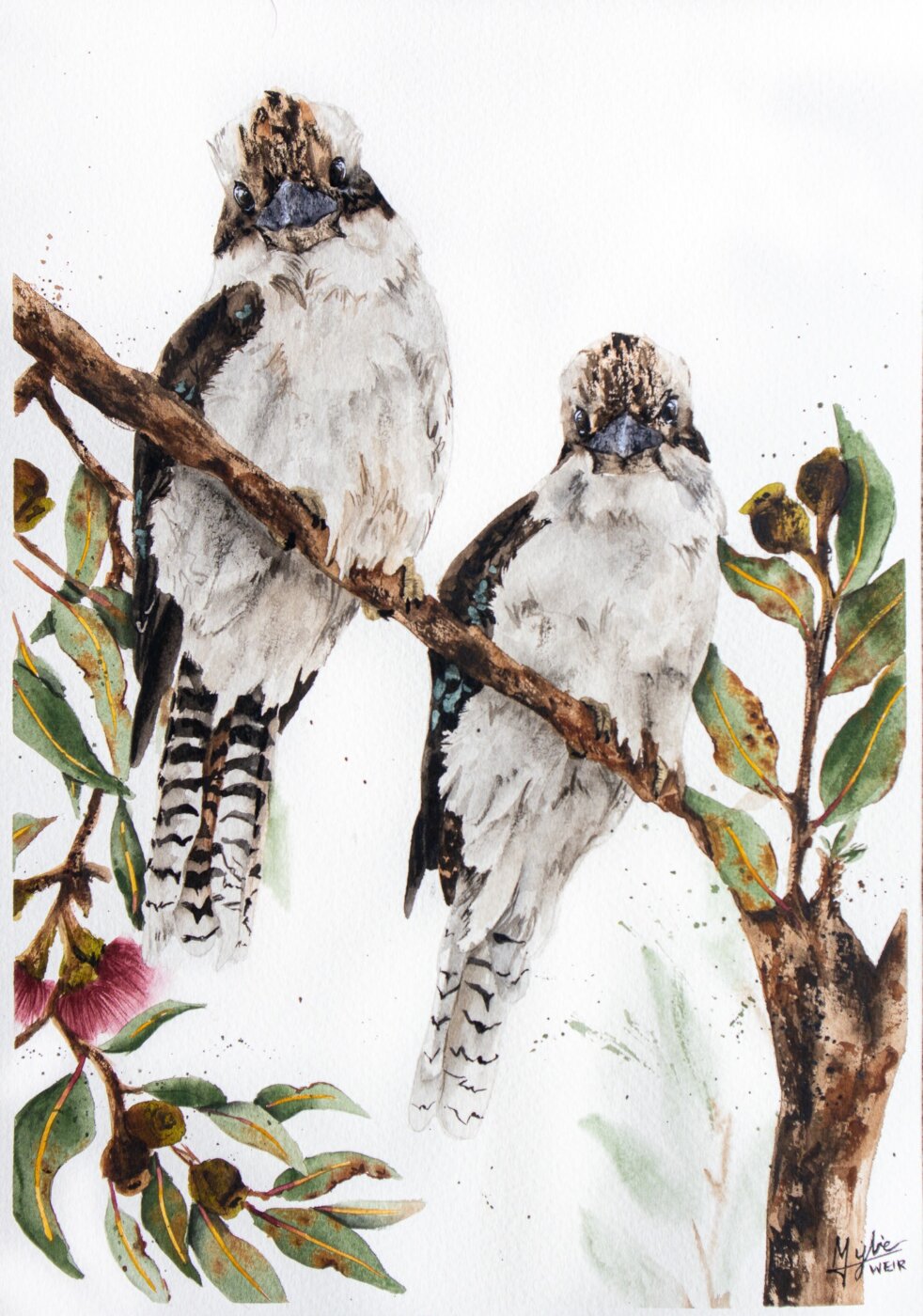J-2026-Mylie-Weir-quotkookaburra-Matesquot