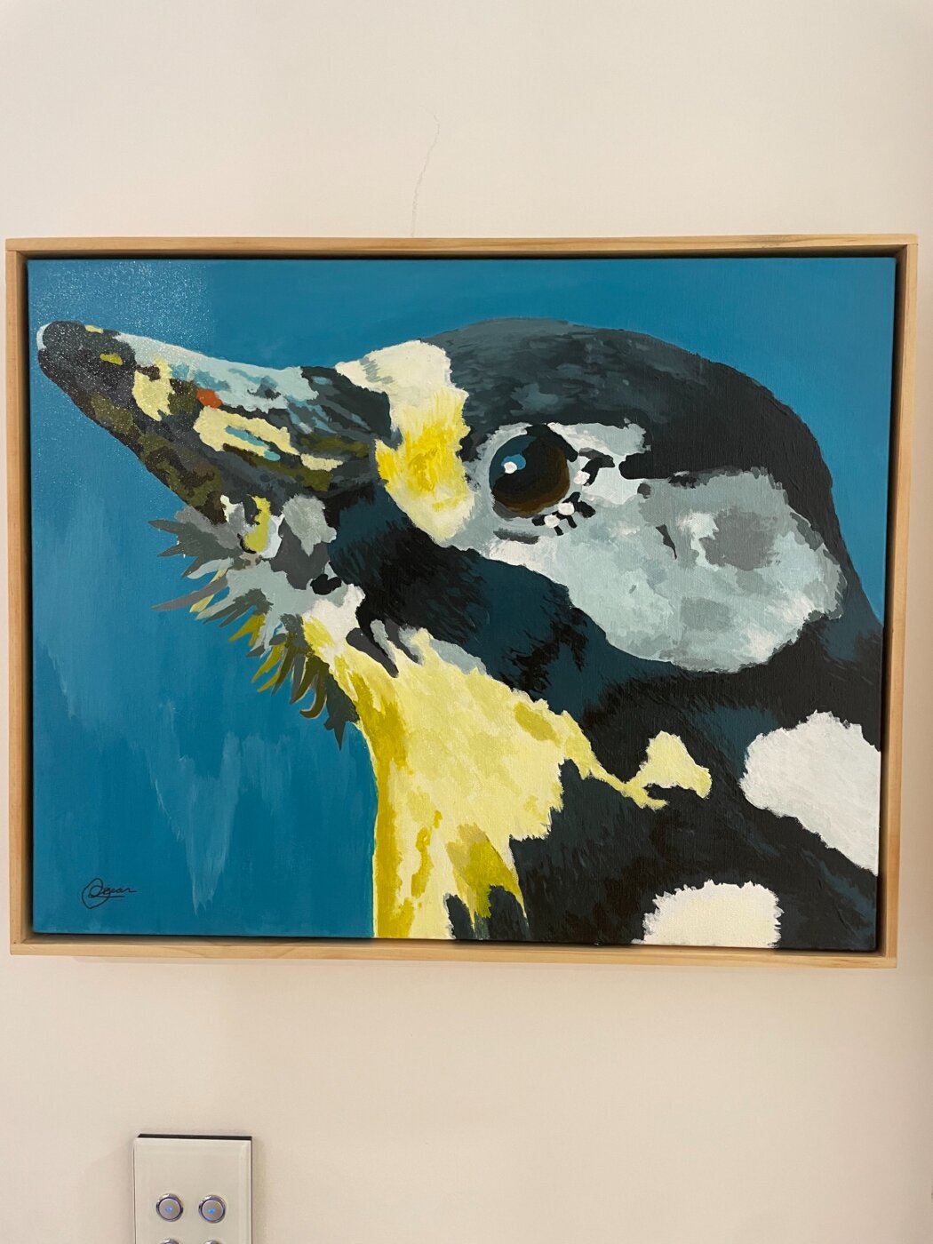J-2026-Ocean-Devencorn-Bastos-Harsh-Blue-on-the-Late-Bird
