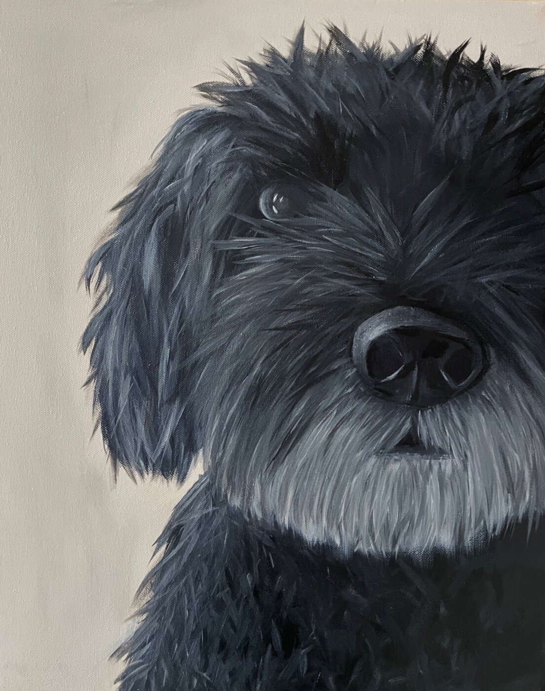 J-2026-Poppy-Harris-dog