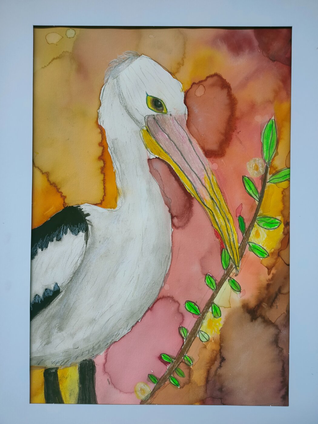 JB-2026-Alexis-Launder-Elegant-Pelican
