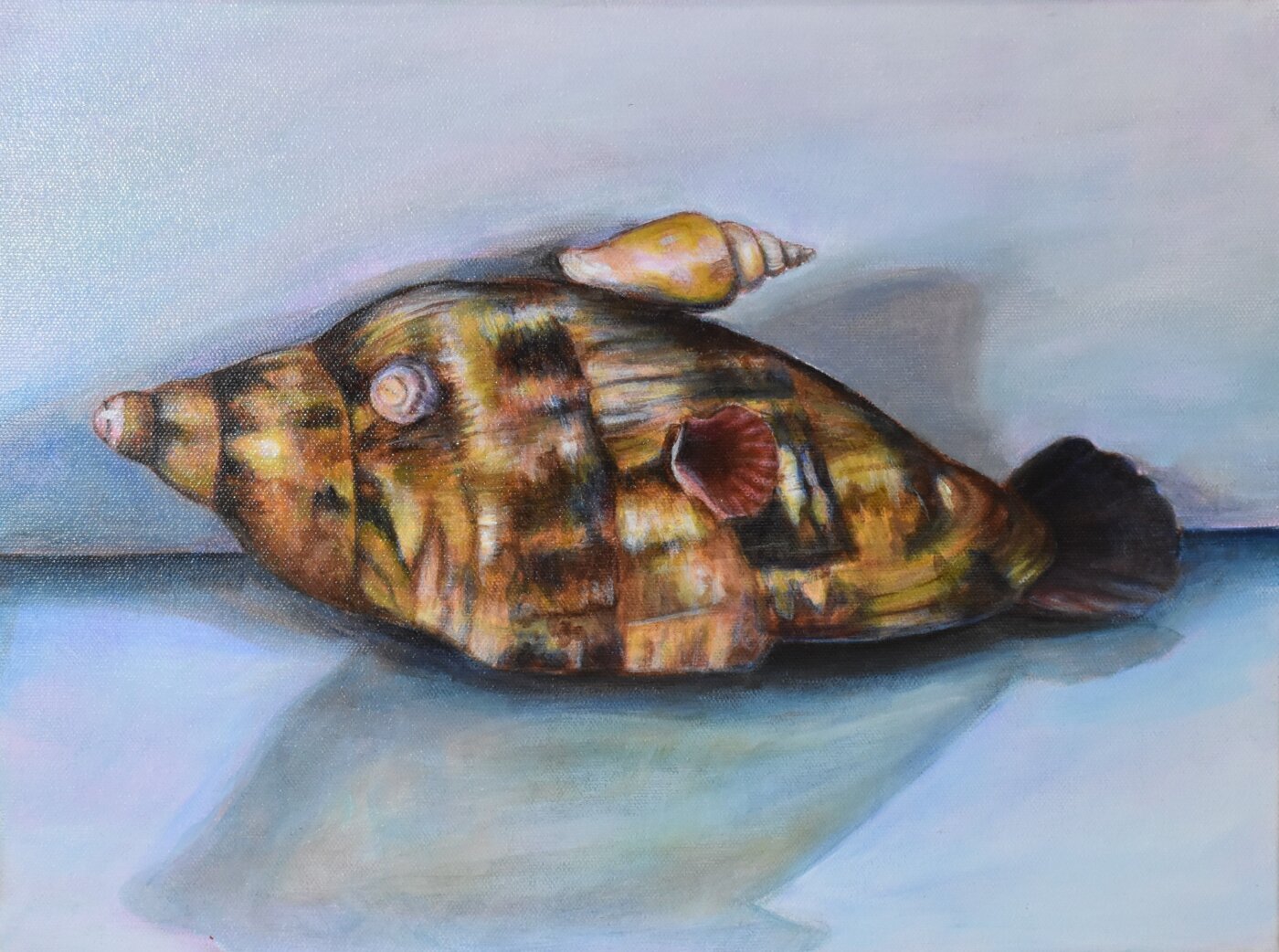 JB-2026-Amelie-Kitanobo-Shellfish