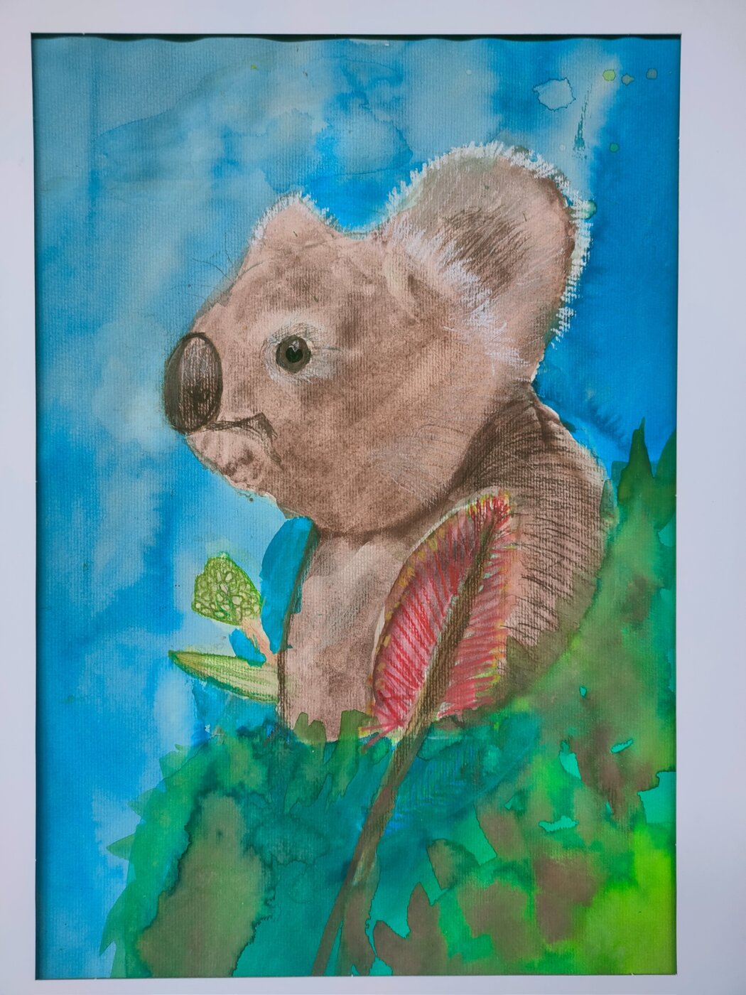 JB-2026-Isla-Molloy-Happy-Koala
